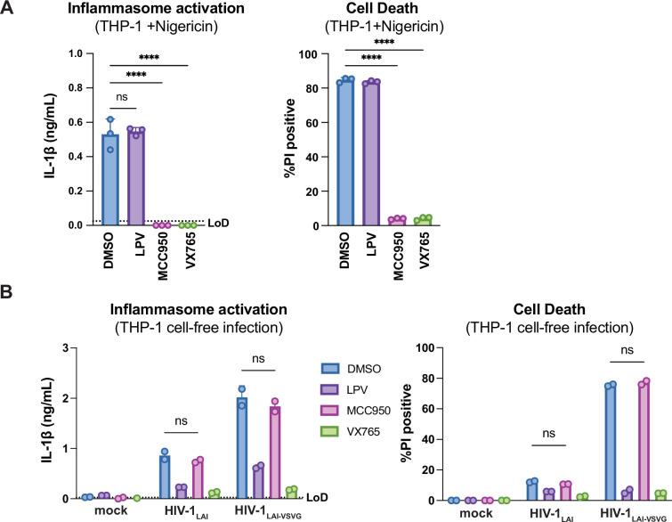 https://cdn.ncbi.nlm.nih.gov/pmc/blobs/ac55/12169848/81d2c62d2a33/elife-102676-fig2-figsupp1.jpg
