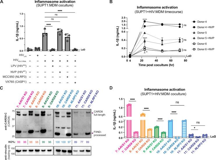https://cdn.ncbi.nlm.nih.gov/pmc/blobs/ac55/12169848/95bee39ef8b8/elife-102676-fig3.jpg