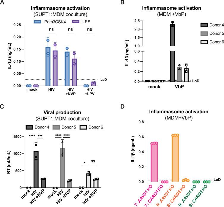 https://cdn.ncbi.nlm.nih.gov/pmc/blobs/ac55/12169848/b0b80a9de46b/elife-102676-fig3-figsupp1.jpg