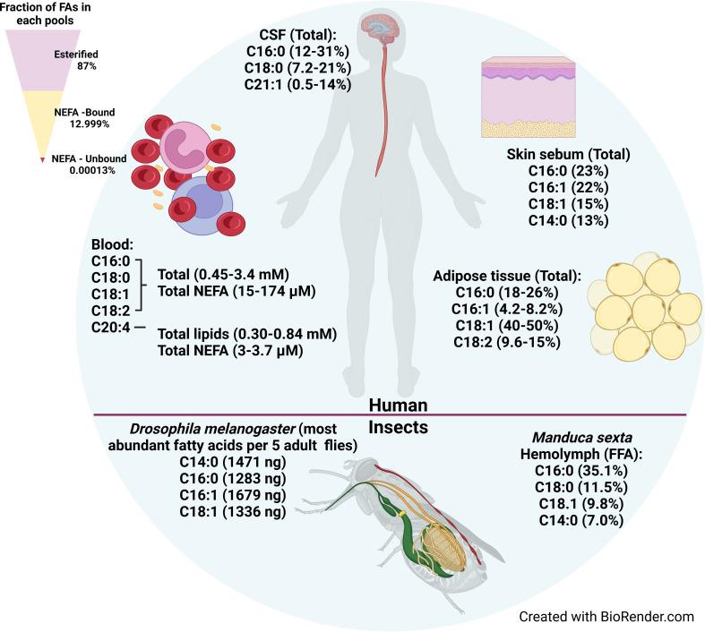 https://cdn.ncbi.nlm.nih.gov/pmc/blobs/ac76/9719944/54c23ed25cee/fcimb-12-949409-g001.jpg