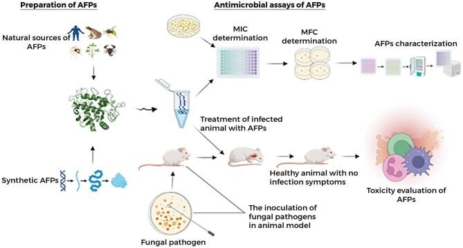 https://cdn.ncbi.nlm.nih.gov/pmc/blobs/ac8f/11119867/e494ac9f9389/kuae018fig3.jpg