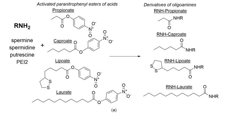 https://cdn.ncbi.nlm.nih.gov/pmc/blobs/aca3/12295751/b220185841b9/ijms-26-06749-g005a.jpg
