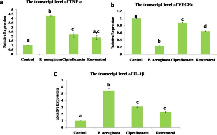 https://cdn.ncbi.nlm.nih.gov/pmc/blobs/acb6/11799074/1eb65d678c5a/10787_2024_1591_Fig3_HTML.jpg