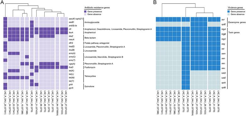 https://cdn.ncbi.nlm.nih.gov/pmc/blobs/acc4/10874063/8bd4a04d3970/13567_2024_1278_Fig3_HTML.jpg