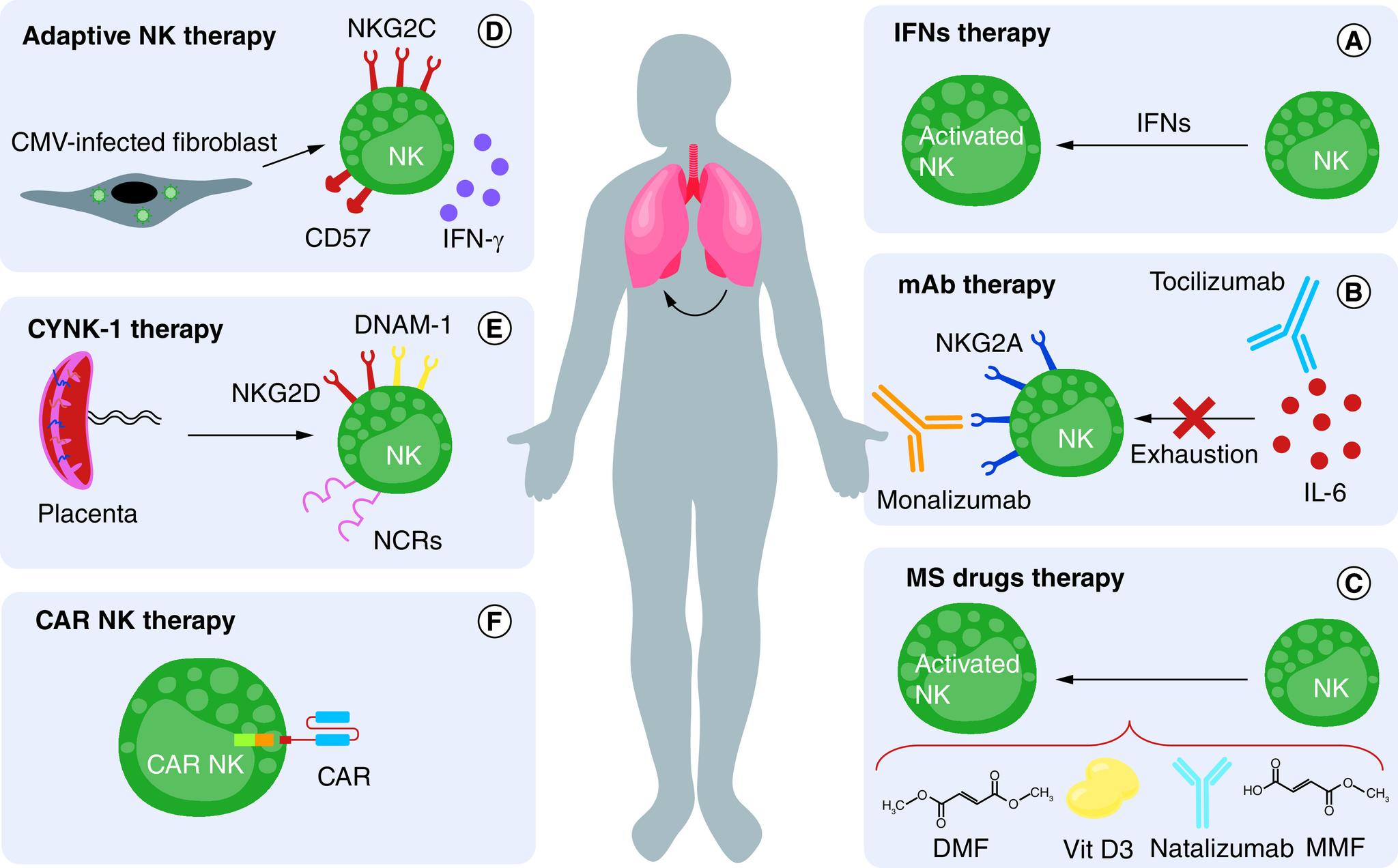 https://cdn.ncbi.nlm.nih.gov/pmc/blobs/acd4/10013930/78057906fb0b/figure2.jpg
