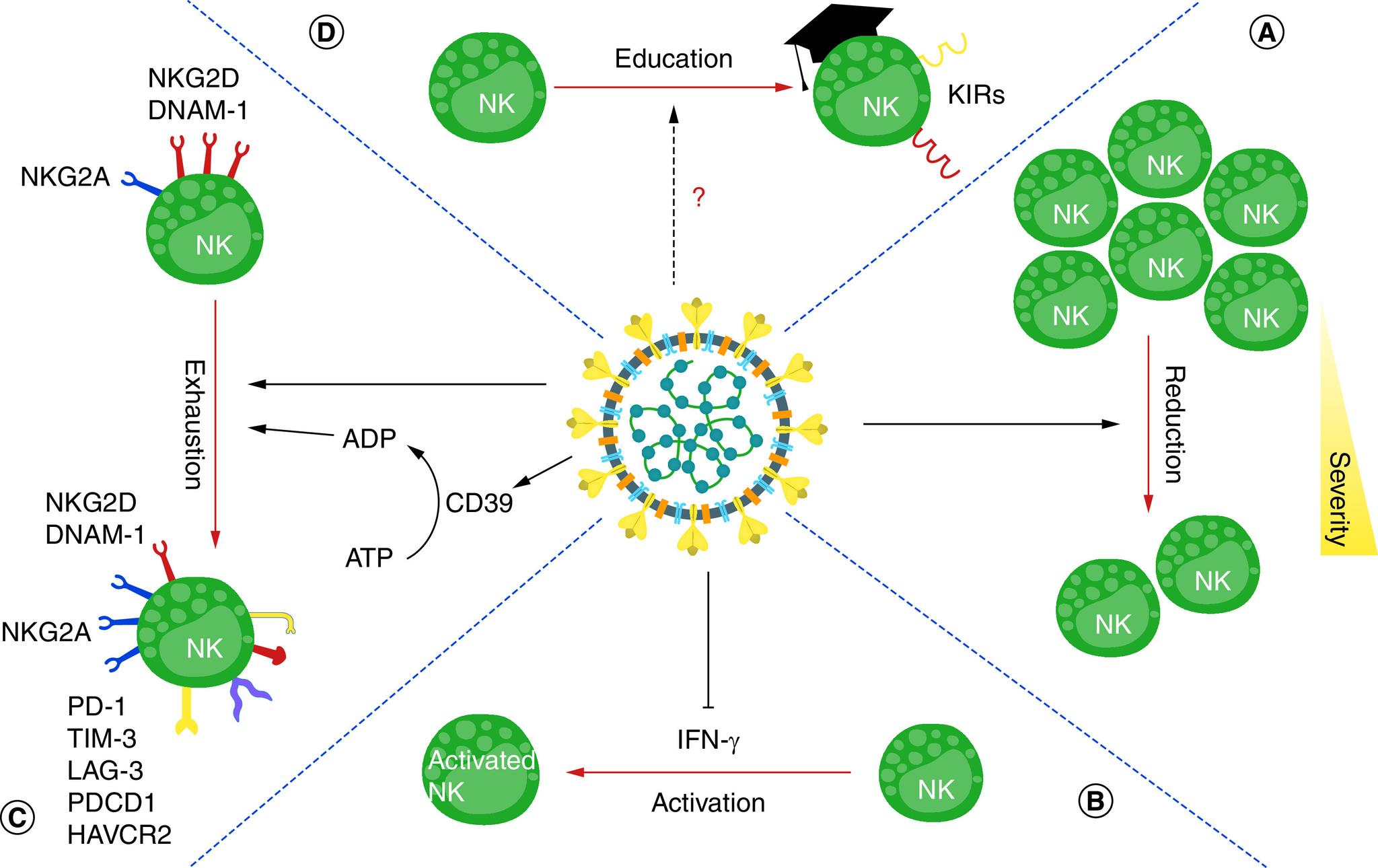 https://cdn.ncbi.nlm.nih.gov/pmc/blobs/acd4/10013930/9916c19002df/figure1.jpg