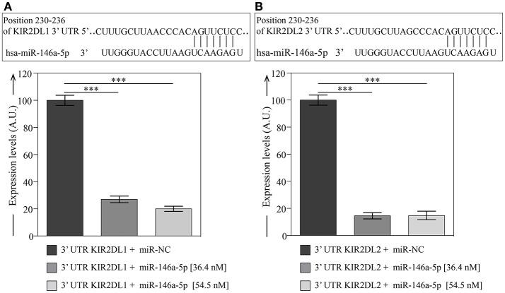 https://cdn.ncbi.nlm.nih.gov/pmc/blobs/ace7/6196268/be6a317b5745/fimmu-09-02360-g0005.jpg