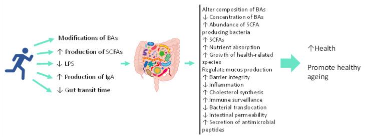https://cdn.ncbi.nlm.nih.gov/pmc/blobs/aced/8837975/14c5486069a7/nutrients-14-00674-g002.jpg