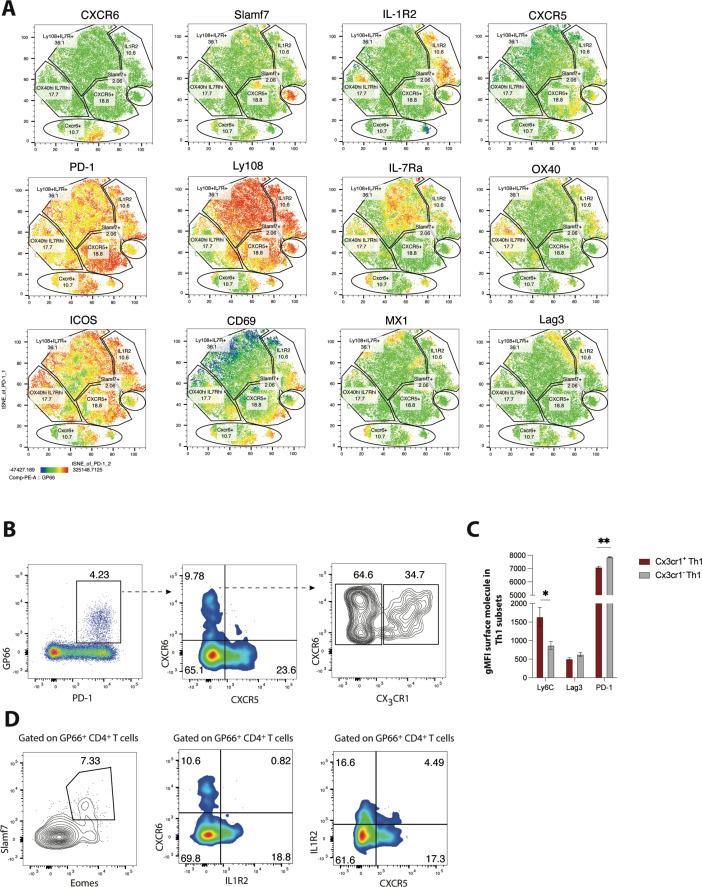 https://cdn.ncbi.nlm.nih.gov/pmc/blobs/acfe/9629829/168b30a4012c/elife-80079-fig2.jpg