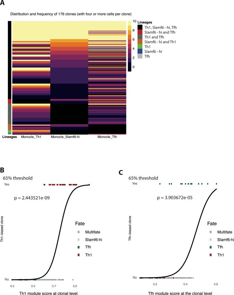 https://cdn.ncbi.nlm.nih.gov/pmc/blobs/acfe/9629829/d250d177f61f/elife-80079-fig3-figsupp1.jpg