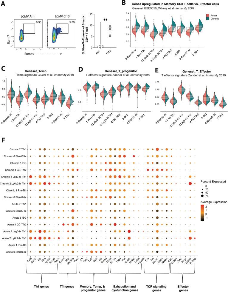 https://cdn.ncbi.nlm.nih.gov/pmc/blobs/acfe/9629829/e45671e332db/elife-80079-fig4-figsupp1.jpg