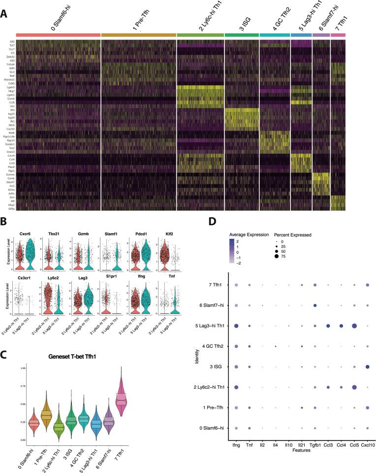 https://cdn.ncbi.nlm.nih.gov/pmc/blobs/acfe/9629829/f99836762697/elife-80079-fig1-figsupp1.jpg