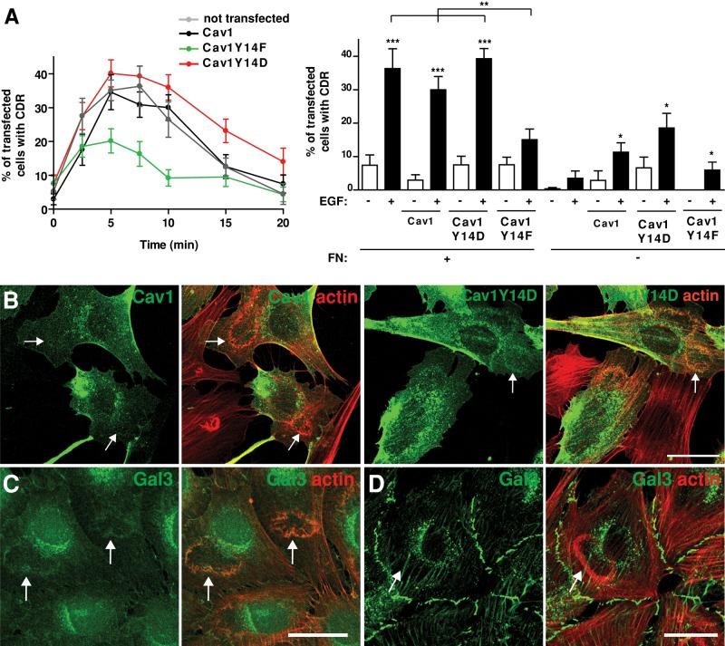 https://cdn.ncbi.nlm.nih.gov/pmc/blobs/ad0e/3694797/0155f17f8431/2134fig4.jpg