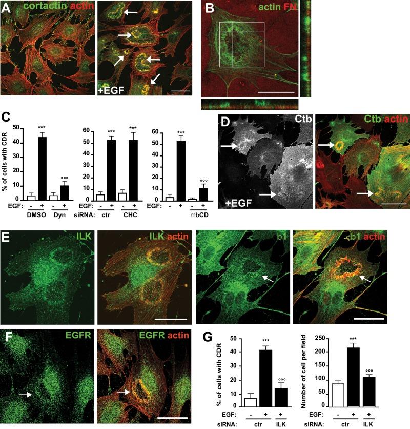 https://cdn.ncbi.nlm.nih.gov/pmc/blobs/ad0e/3694797/25b387e68174/2134fig1.jpg