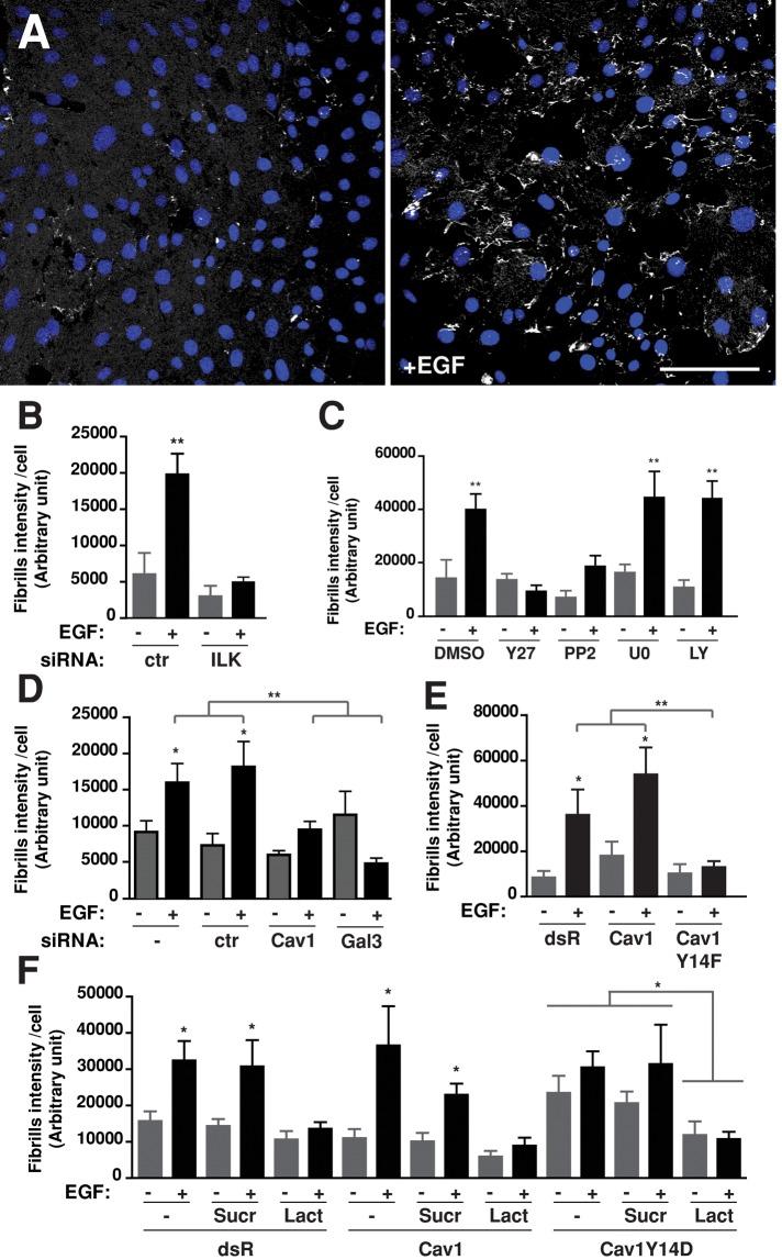 https://cdn.ncbi.nlm.nih.gov/pmc/blobs/ad0e/3694797/d771c4e6d1d9/2134fig7.jpg