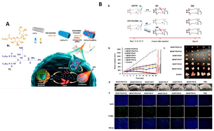 https://cdn.ncbi.nlm.nih.gov/pmc/blobs/ad24/9268713/0df91e6f34e8/nanomaterials-12-02283-g011.jpg