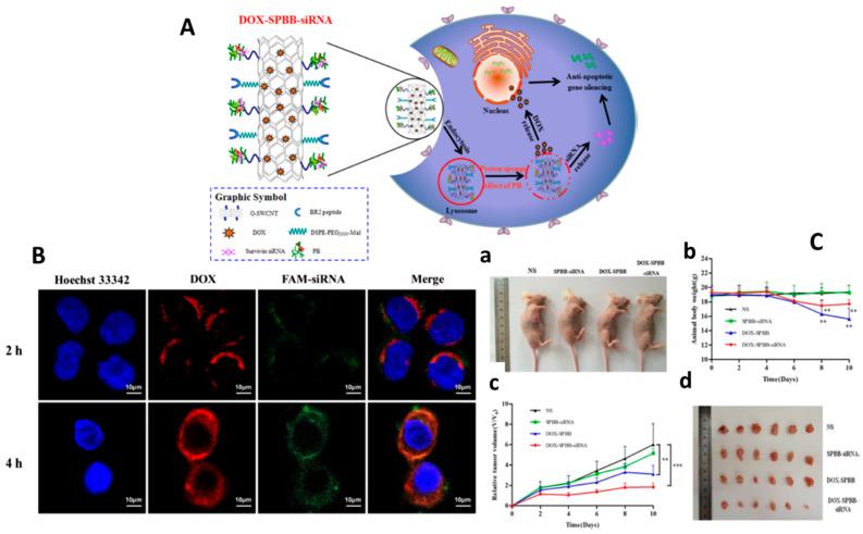 https://cdn.ncbi.nlm.nih.gov/pmc/blobs/ad24/9268713/b2ea4367f40f/nanomaterials-12-02283-g012.jpg