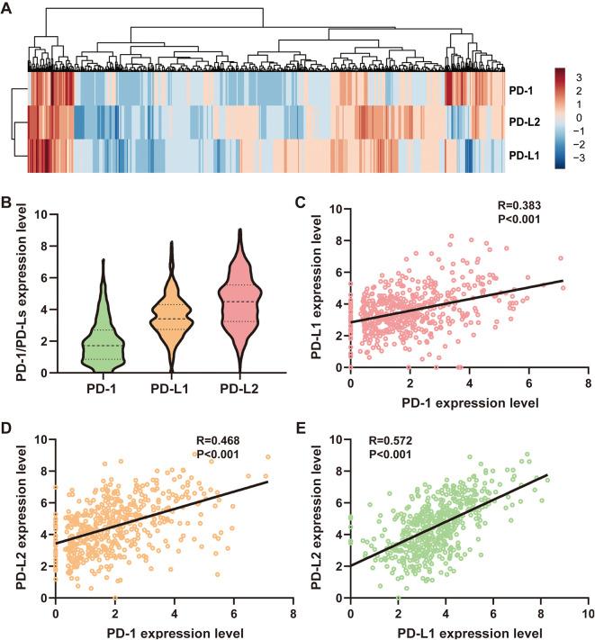 https://cdn.ncbi.nlm.nih.gov/pmc/blobs/ad45/8111557/339d3dd913ee/10.1177_15330338211011970-fig1.jpg