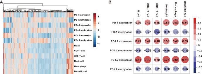 https://cdn.ncbi.nlm.nih.gov/pmc/blobs/ad45/8111557/9d440d6c5fd2/10.1177_15330338211011970-fig7.jpg