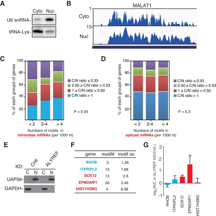 https://cdn.ncbi.nlm.nih.gov/pmc/blobs/ad74/5766156/29fcb984fb1d/gkx597fig6.jpg