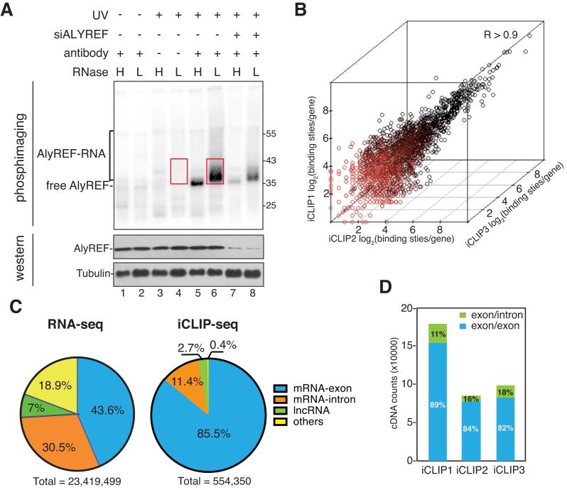 https://cdn.ncbi.nlm.nih.gov/pmc/blobs/ad74/5766156/aa679d59bb9c/gkx597fig1.jpg