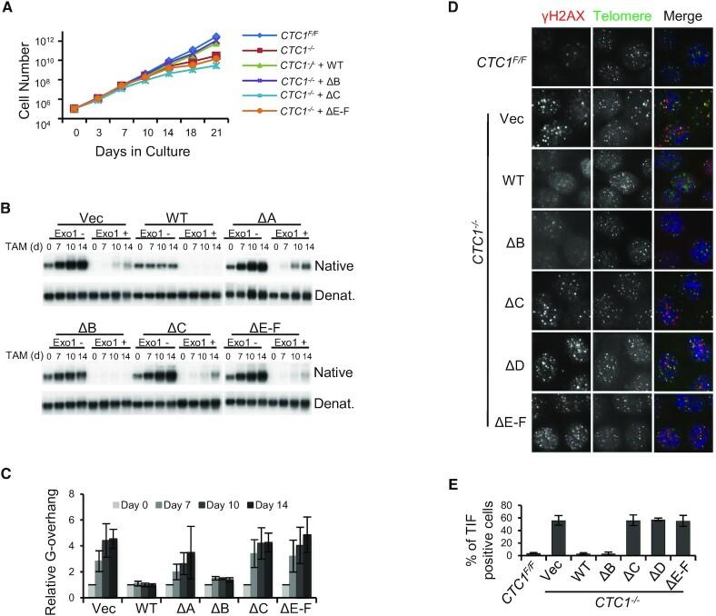 https://cdn.ncbi.nlm.nih.gov/pmc/blobs/ad7e/10250220/d191bafde0d5/gkad237fig2.jpg
