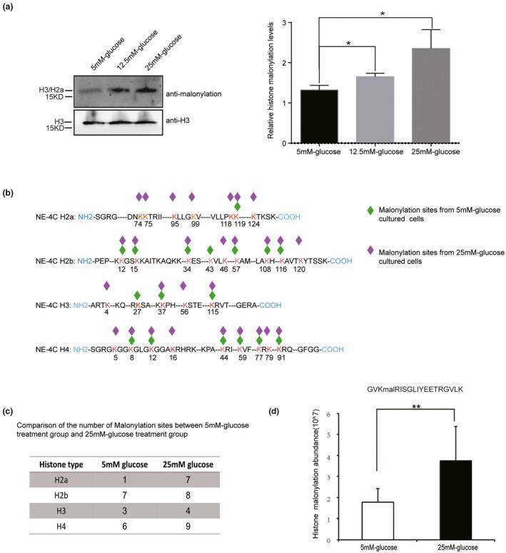 https://cdn.ncbi.nlm.nih.gov/pmc/blobs/ad87/7507309/93068884913c/MGG3-8-e1403-g003.jpg