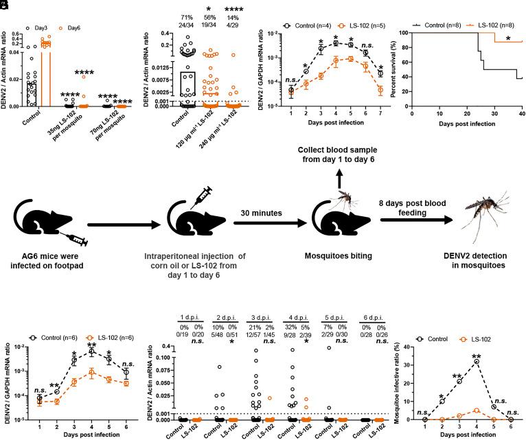 https://cdn.ncbi.nlm.nih.gov/pmc/blobs/ad93/11032495/7c0451158096/pnas.2317978121fig05.jpg
