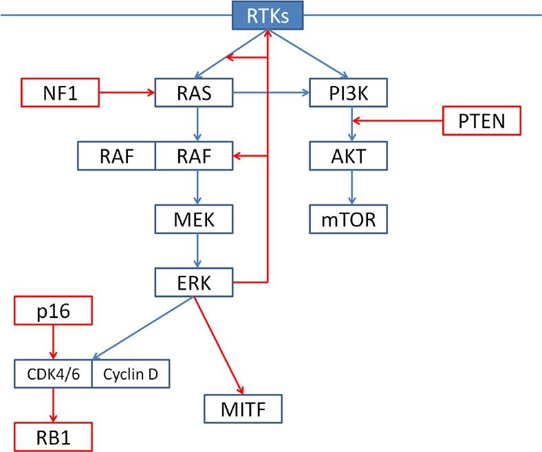 https://cdn.ncbi.nlm.nih.gov/pmc/blobs/ad9c/4279367/c8add88c8485/oncotarget-05-10206-g001.jpg