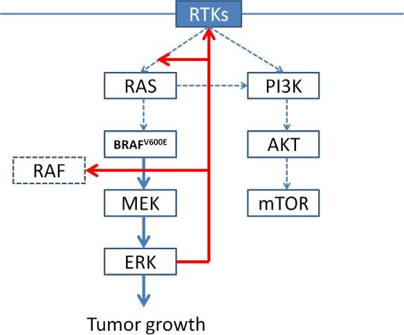 https://cdn.ncbi.nlm.nih.gov/pmc/blobs/ad9c/4279367/e5b0e8c527b9/oncotarget-05-10206-g002.jpg