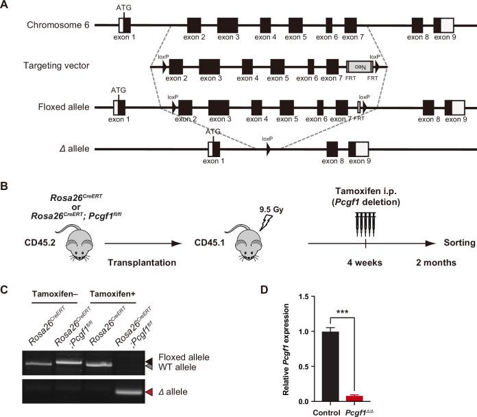 https://cdn.ncbi.nlm.nih.gov/pmc/blobs/ad9e/10287155/3bb163eafb66/elife-83004-fig1-figsupp1.jpg
