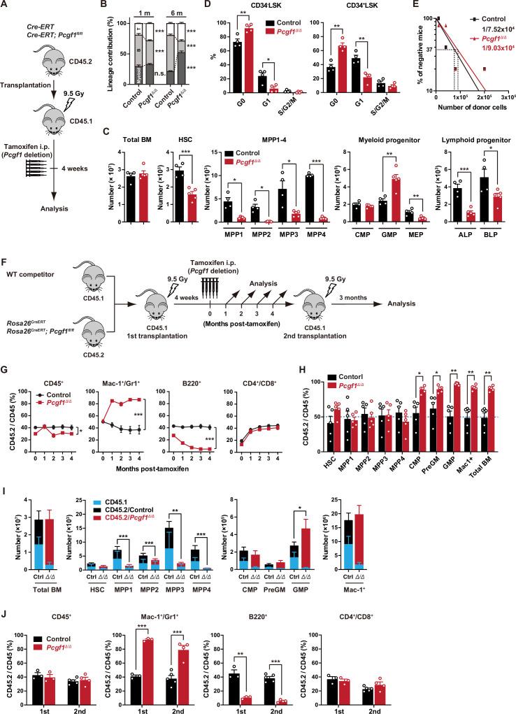 https://cdn.ncbi.nlm.nih.gov/pmc/blobs/ad9e/10287155/917b6711a16d/elife-83004-fig1.jpg