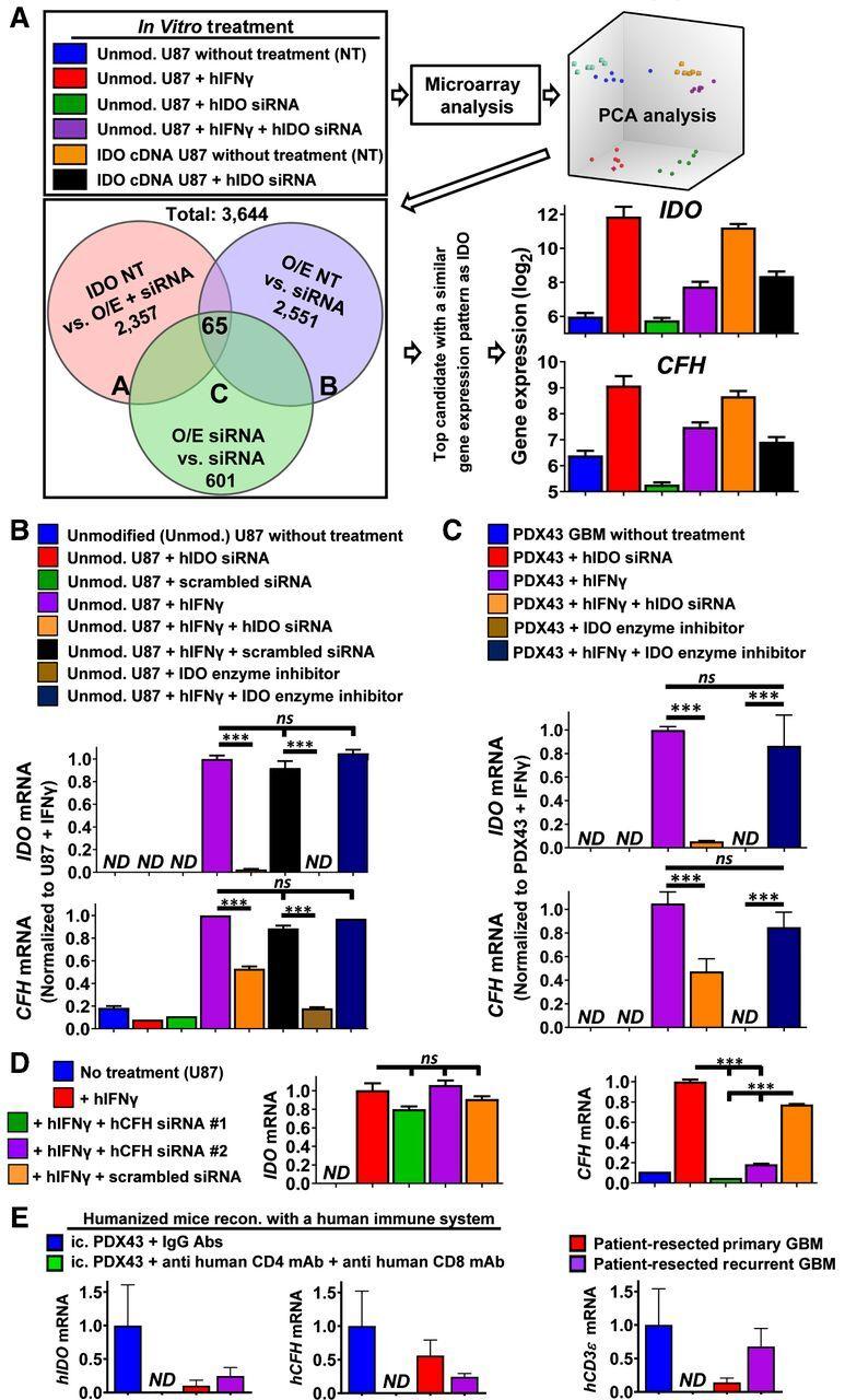 https://cdn.ncbi.nlm.nih.gov/pmc/blobs/ad9f/9401486/c59be3bd22f1/6514fig2.jpg
