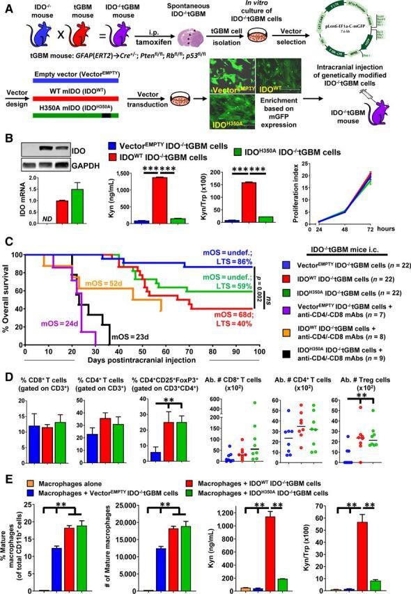 https://cdn.ncbi.nlm.nih.gov/pmc/blobs/ad9f/9401486/c794047bc355/6514fig1.jpg