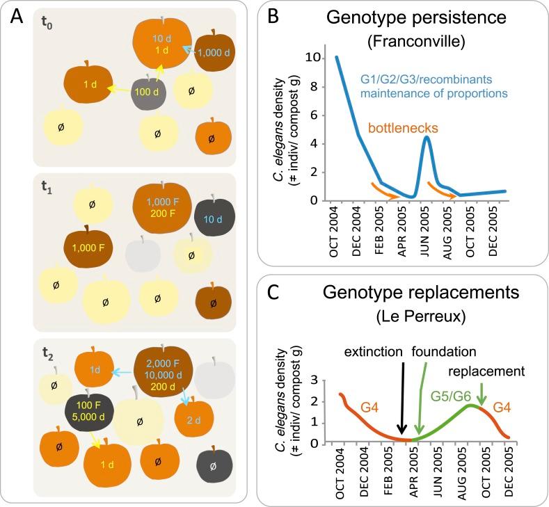 https://cdn.ncbi.nlm.nih.gov/pmc/blobs/ada1/4373675/c6f599b23d25/elife05849f004.jpg