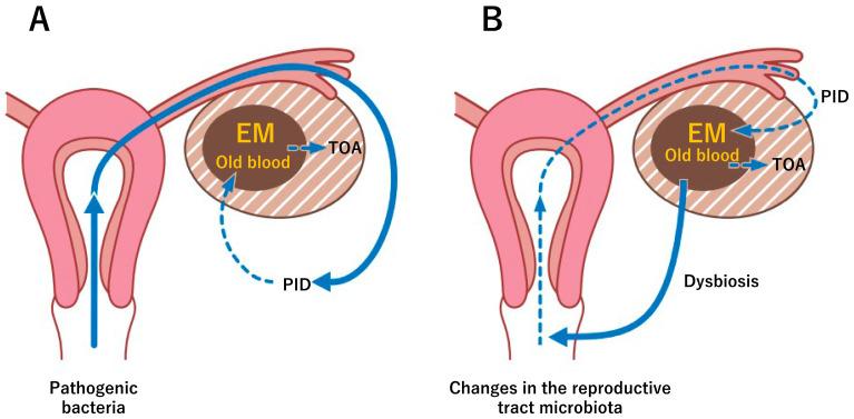 https://cdn.ncbi.nlm.nih.gov/pmc/blobs/ada7/10000848/c646328a4862/diagnostics-13-00868-g002.jpg