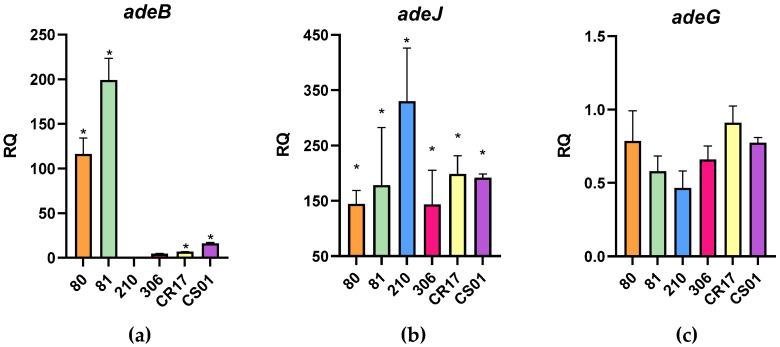 https://cdn.ncbi.nlm.nih.gov/pmc/blobs/adca/11672505/7892c7619588/antibiotics-13-01147-g002.jpg