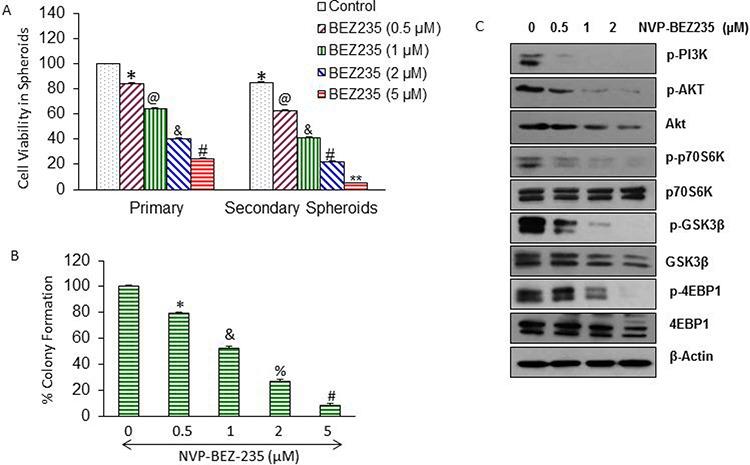 https://cdn.ncbi.nlm.nih.gov/pmc/blobs/add1/4741658/0b18e38639b2/oncotarget-06-32039-g001.jpg