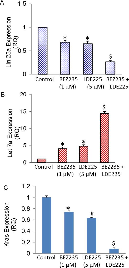 https://cdn.ncbi.nlm.nih.gov/pmc/blobs/add1/4741658/604e5ba9f0c0/oncotarget-06-32039-g012.jpg