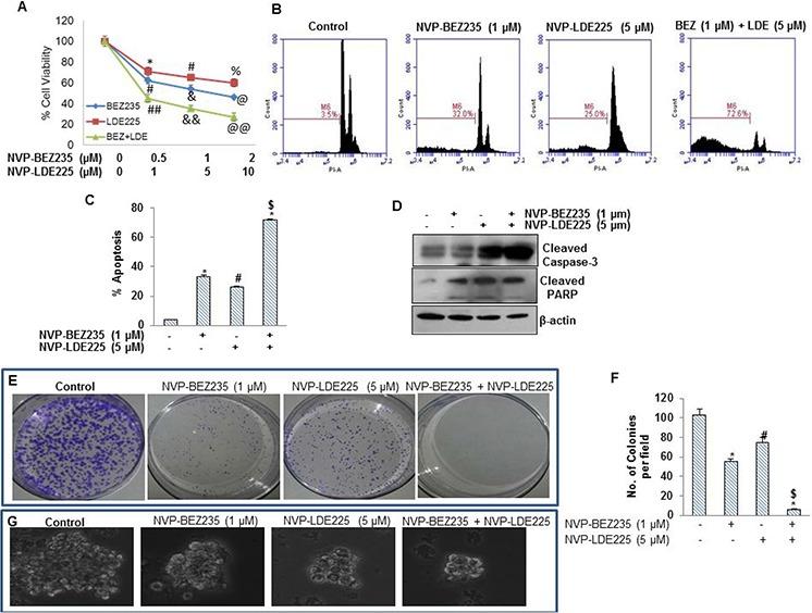 https://cdn.ncbi.nlm.nih.gov/pmc/blobs/add1/4741658/f524245d9b50/oncotarget-06-32039-g003.jpg