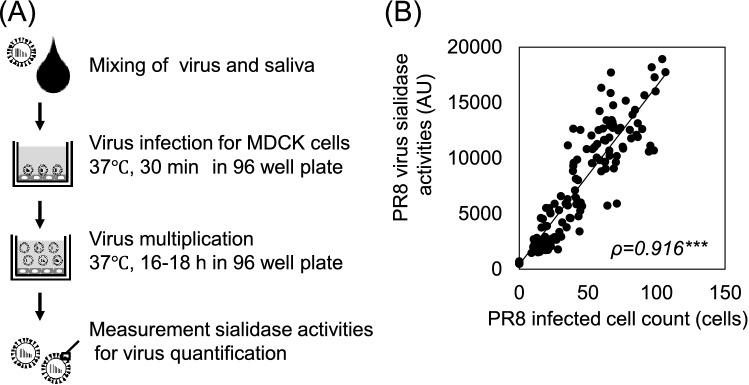 https://cdn.ncbi.nlm.nih.gov/pmc/blobs/add2/9033866/ac8113d2ae10/41598_2022_10559_Fig1_HTML.jpg
