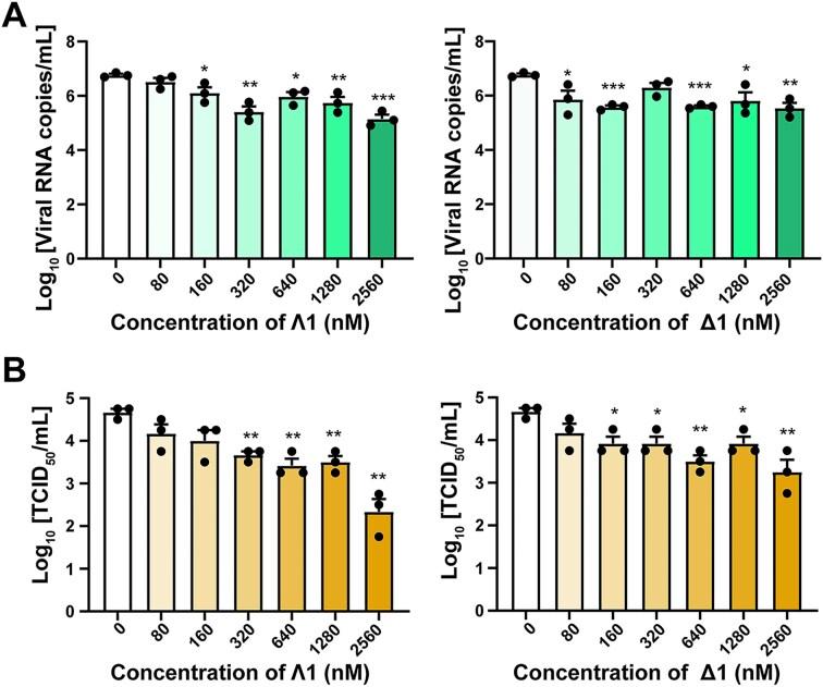 https://cdn.ncbi.nlm.nih.gov/pmc/blobs/add3/12125542/21e10e225872/gkaf199fig7.jpg