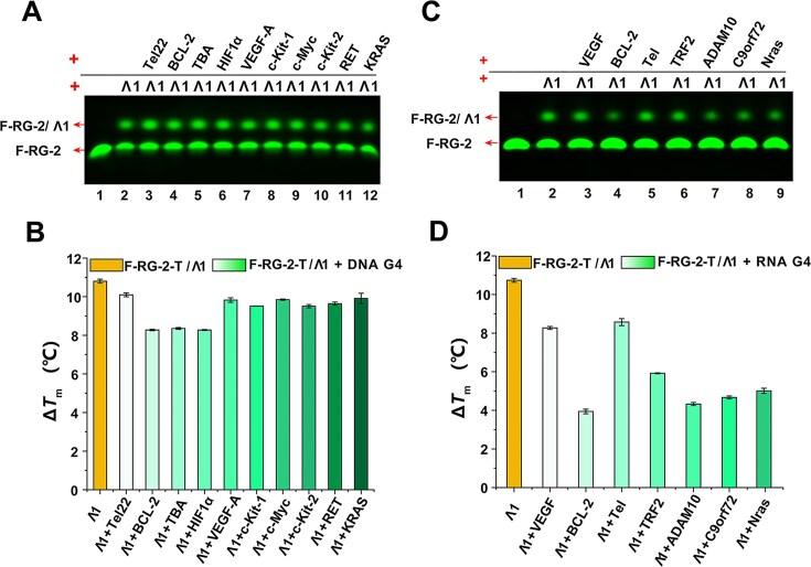 https://cdn.ncbi.nlm.nih.gov/pmc/blobs/add3/12125542/d73f222f1900/gkaf199fig5.jpg