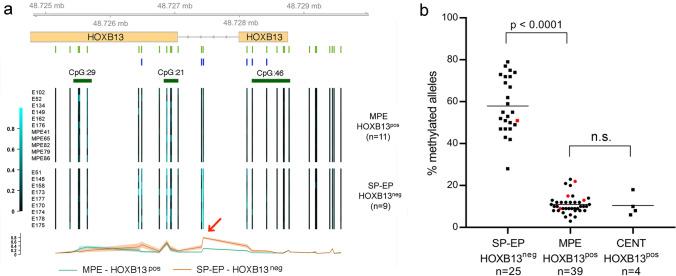 https://cdn.ncbi.nlm.nih.gov/pmc/blobs/add4/11947044/1655c0e1843a/401_2025_2866_Fig3_HTML.jpg