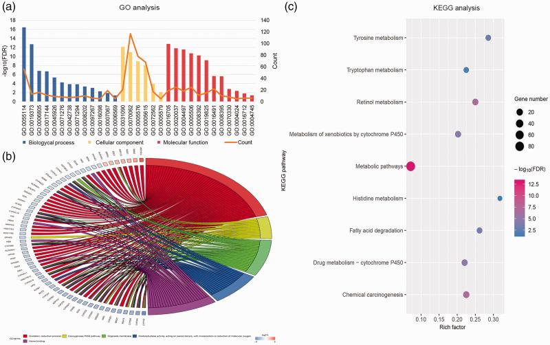 https://cdn.ncbi.nlm.nih.gov/pmc/blobs/ade3/7391448/afc76fe5bc2f/10.1177_0300060520910019-fig3.jpg