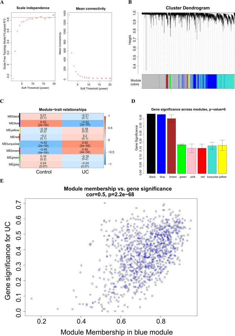 https://cdn.ncbi.nlm.nih.gov/pmc/blobs/ae06/10903335/e421fc339d90/peerj-12-16921-g002.jpg