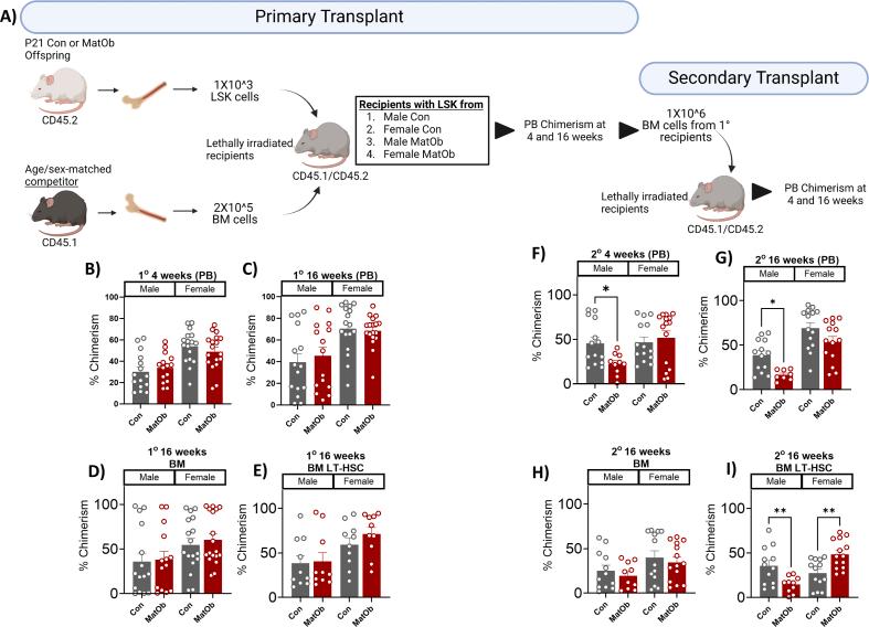 https://cdn.ncbi.nlm.nih.gov/pmc/blobs/ae10/11395717/ac47ca90aec2/gr5.jpg