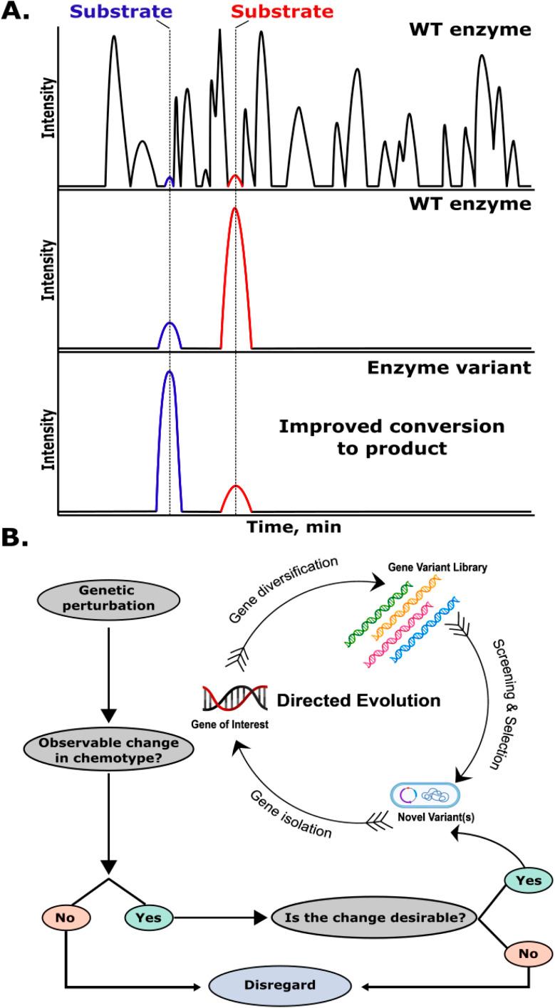 https://cdn.ncbi.nlm.nih.gov/pmc/blobs/ae17/11866321/4c99c5816e61/d4np00053f-f2.jpg