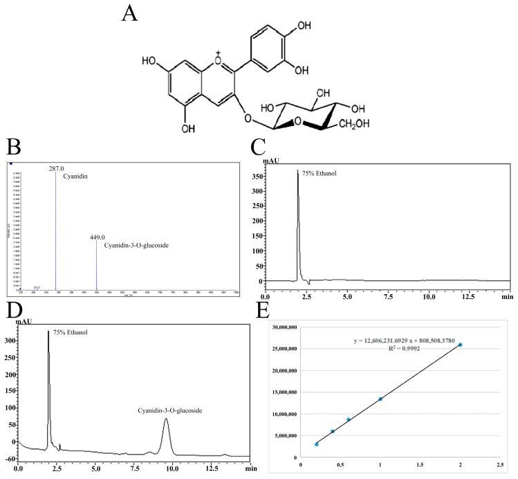 https://cdn.ncbi.nlm.nih.gov/pmc/blobs/ae1f/12024176/10b93a5c50df/antioxidants-14-00490-g001.jpg
