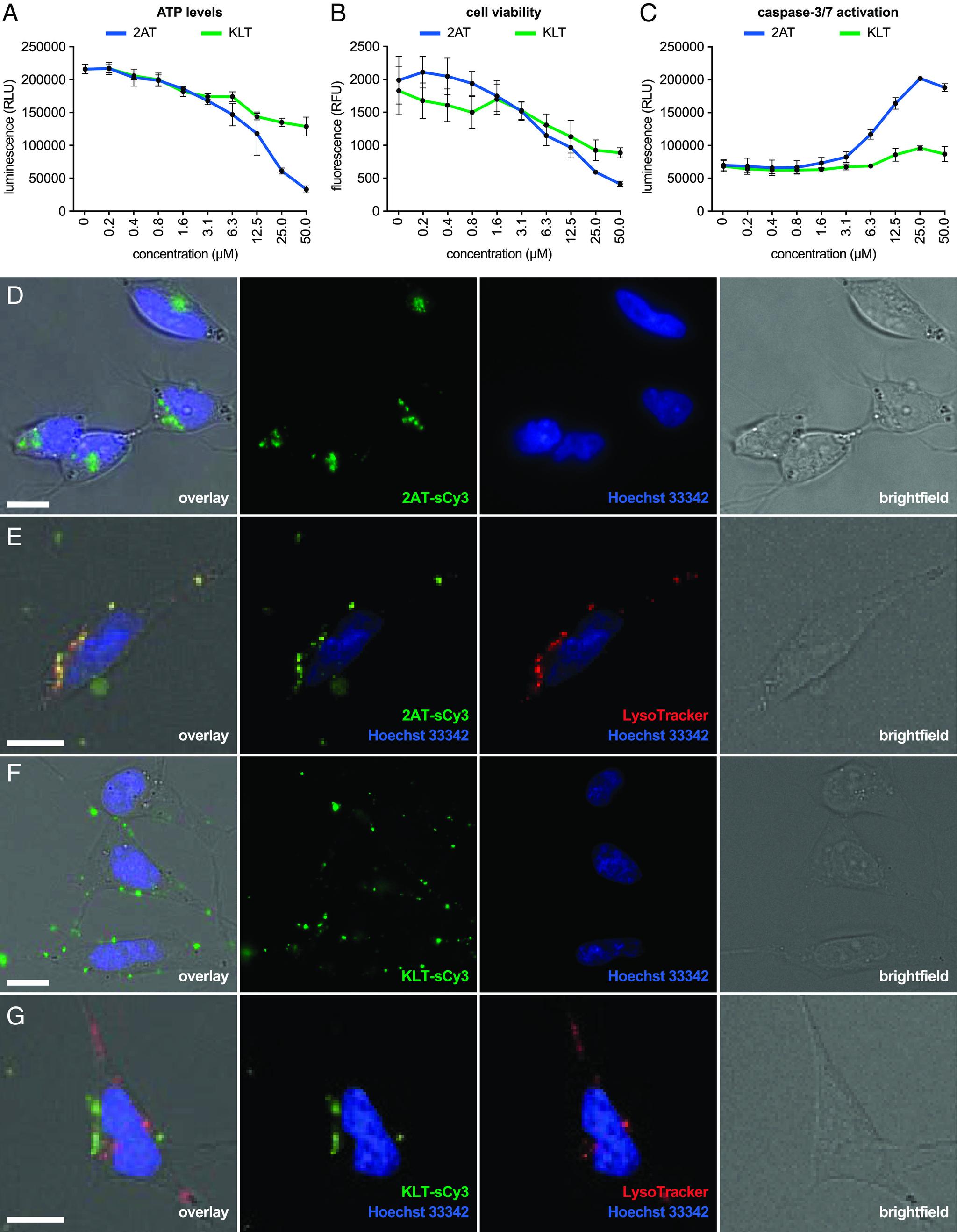 https://cdn.ncbi.nlm.nih.gov/pmc/blobs/ae3f/10235986/cdeab6bec550/pnas.2219216120fig05.jpg